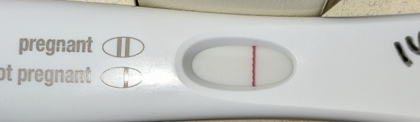 First Response Early Pregnancy Test