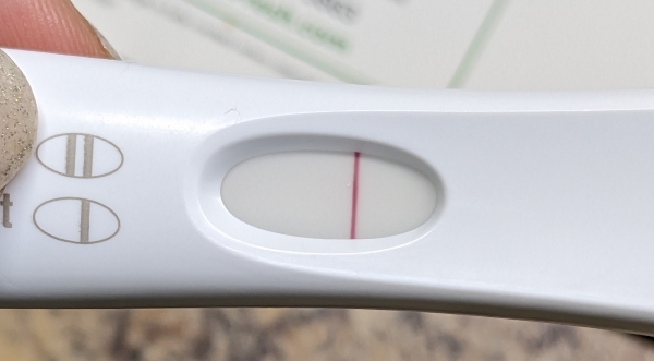 Home Pregnancy Test