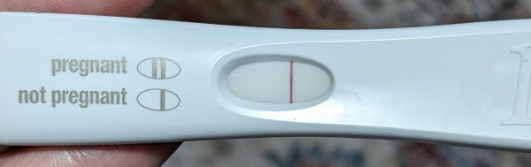 Home Pregnancy Test