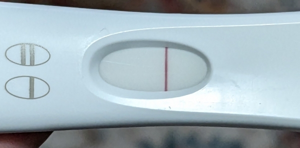 Home Pregnancy Test