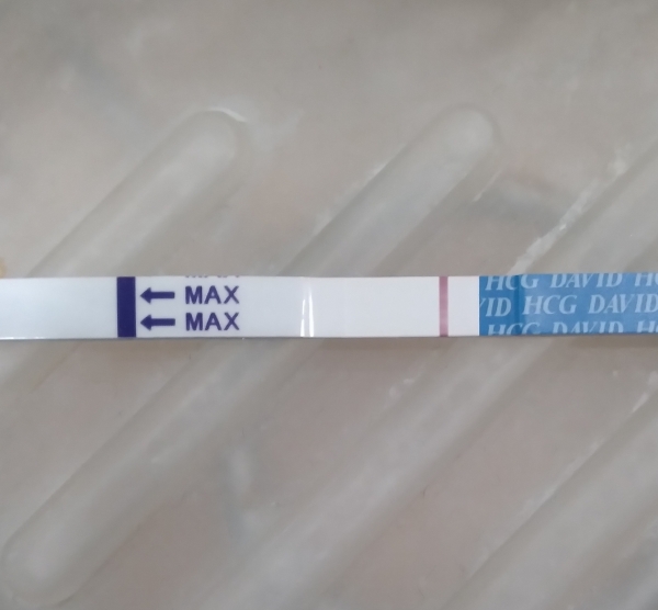 Home Pregnancy Test, 8 Days Post Ovulation, Cycle Day 23