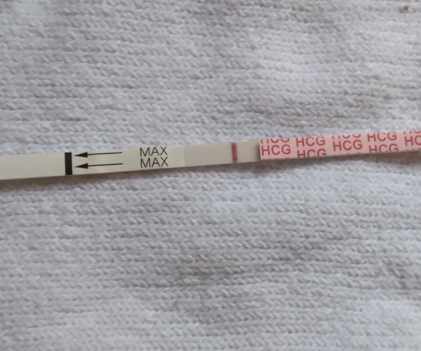 AccuMed Pregnancy Test, 9 Days Post Ovulation, FMU