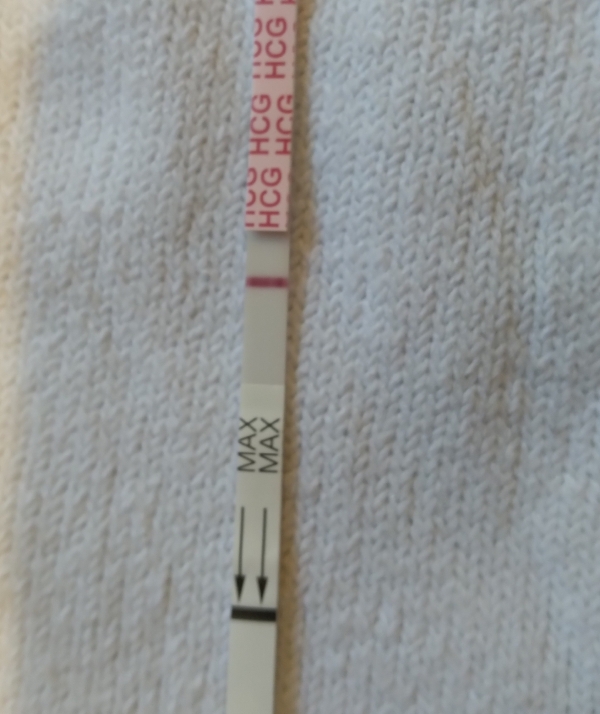 AccuMed Pregnancy Test, 9 Days Post Ovulation, FMU