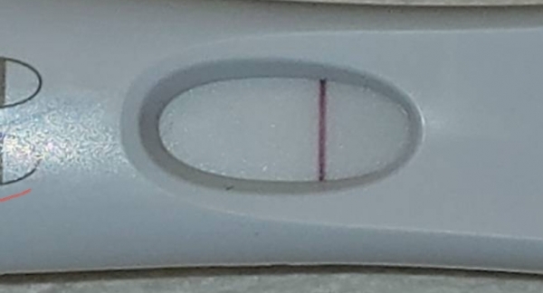 Home Pregnancy Test