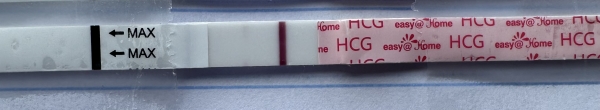 Easy-At-Home Pregnancy Test, 8 Days Post Ovulation, Cycle Day 24