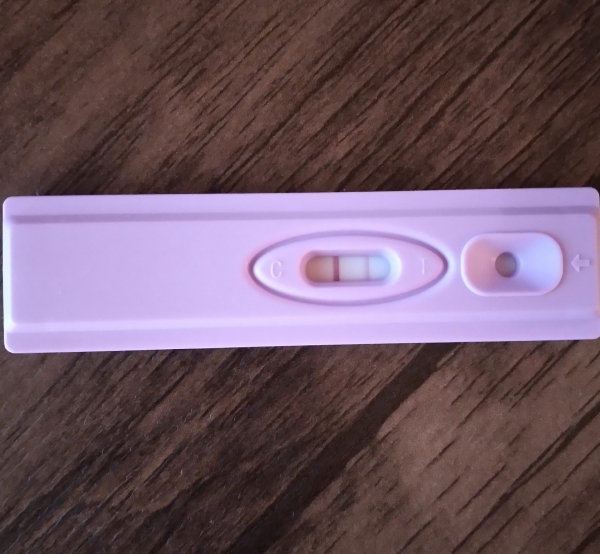 Home Pregnancy Test, 12 Days Post Ovulation, FMU, Cycle Day 27