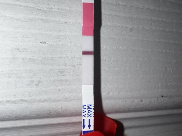 Clinical Guard Pregnancy Test, 7 Days Post Ovulation, FMU