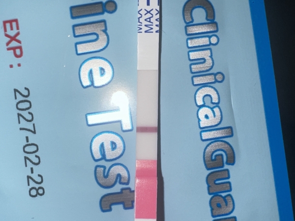 Clinical Guard Pregnancy Test, 7 Days Post Ovulation