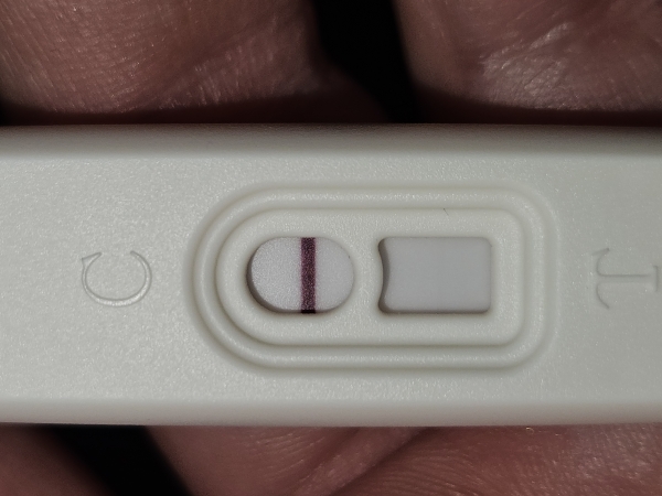 Home Pregnancy Test