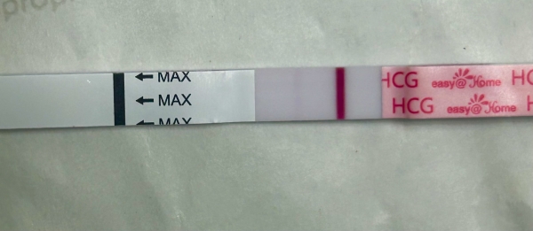 Home Pregnancy Test, 13 Days Post Ovulation