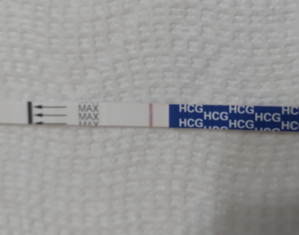 Generic Pregnancy Test, 8 Days Post Ovulation