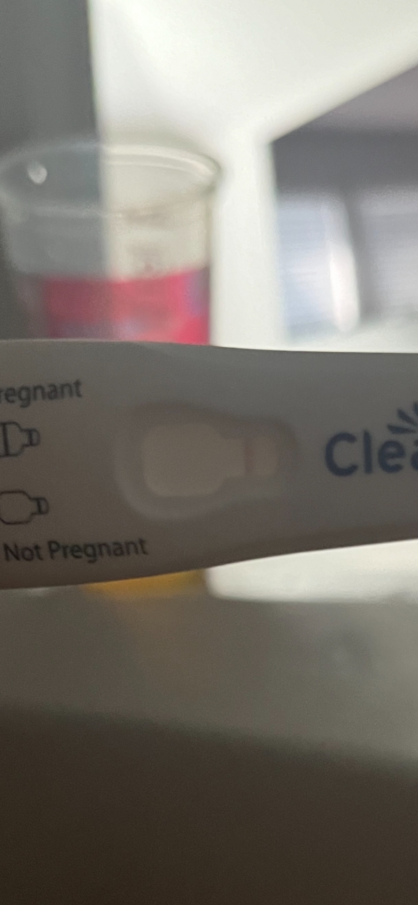 Home Pregnancy Test