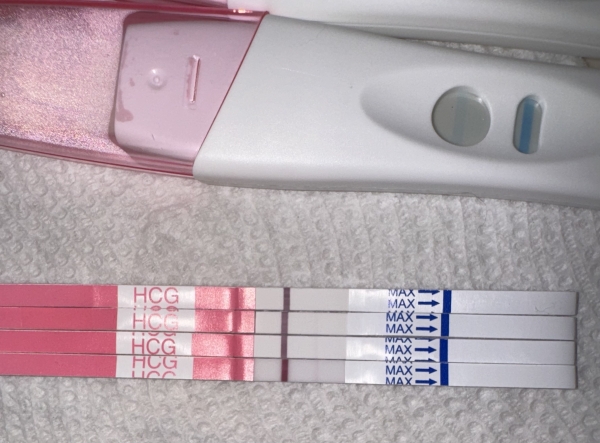 Clinical Guard Pregnancy Test, 12 Days Post Ovulation, FMU