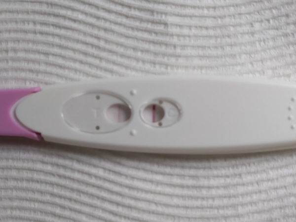 DG One Step Pregnancy Test, 12 Days Post Ovulation, FMU