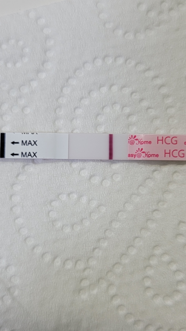 Home Pregnancy Test