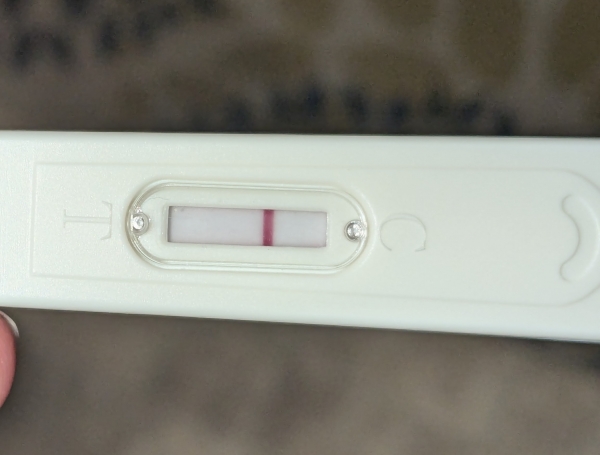 Home Pregnancy Test