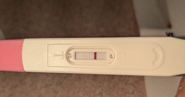 Home Pregnancy Test