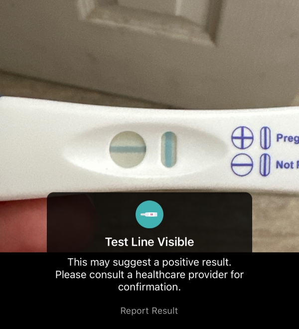 Home Pregnancy Test