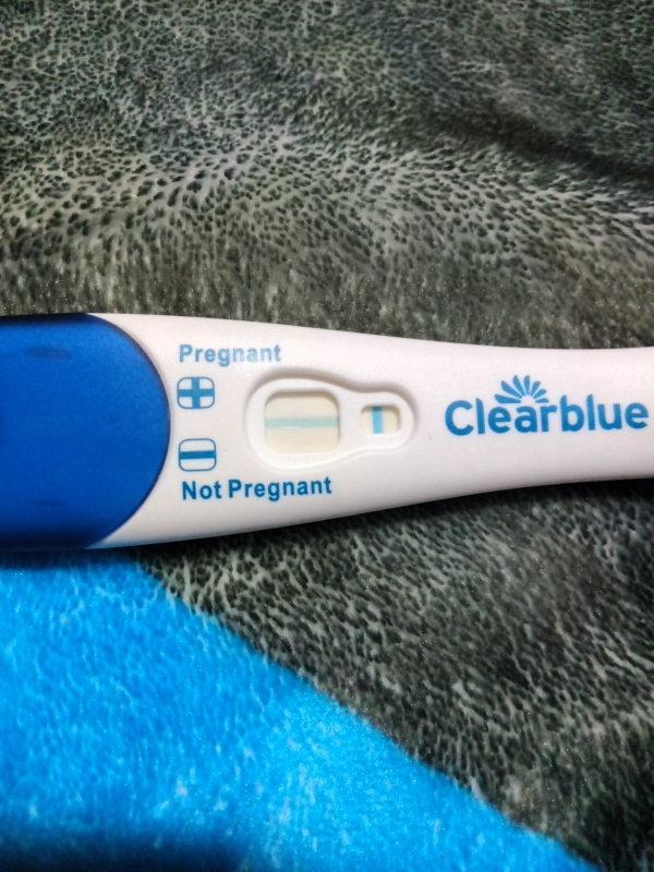 Home Pregnancy Test