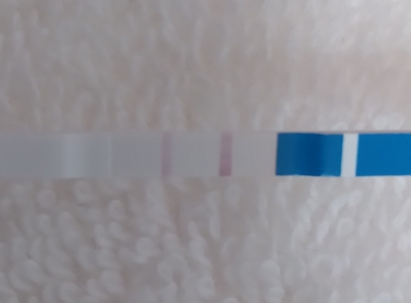 Generic Pregnancy Test, 11 Days Post Ovulation