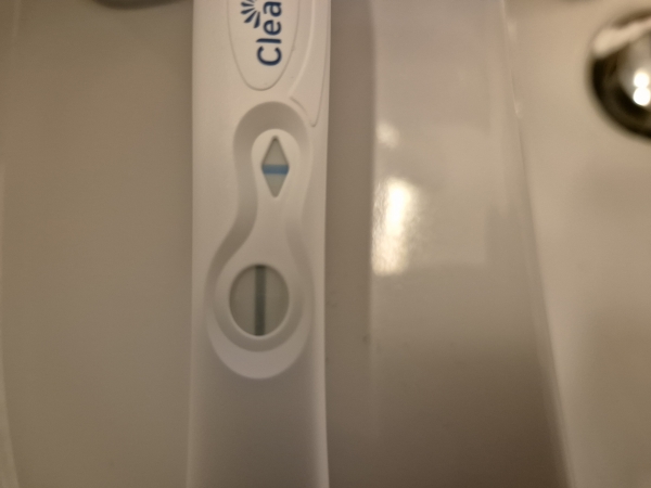 Home Pregnancy Test