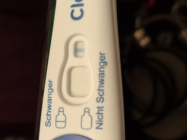 Home Pregnancy Test