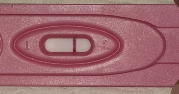 Home Pregnancy Test