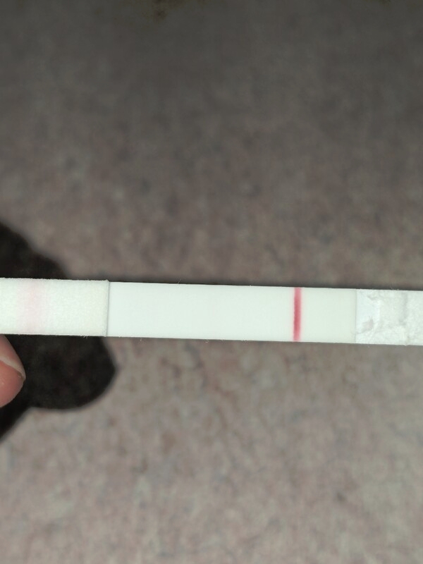 Home Pregnancy Test