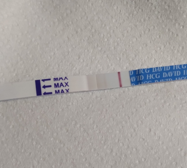 Home Pregnancy Test, 8 Days Post Ovulation