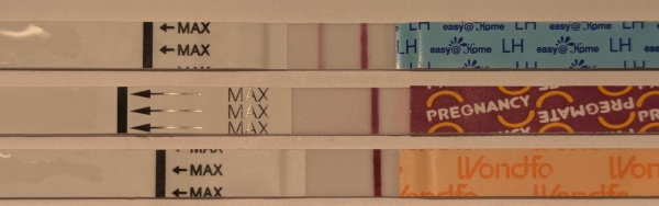 Home Pregnancy Test