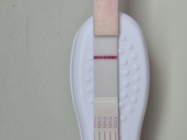 Home Pregnancy Test