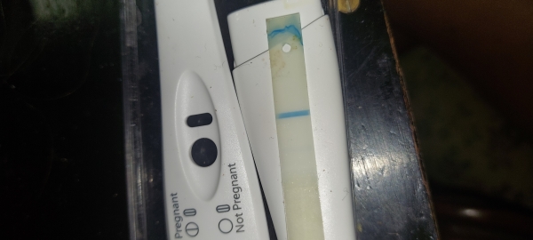 Generic Pregnancy Test, 14 Days Post Ovulation, Cycle Day 24