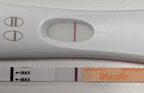 Home Pregnancy Test