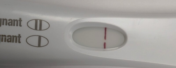 Home Pregnancy Test