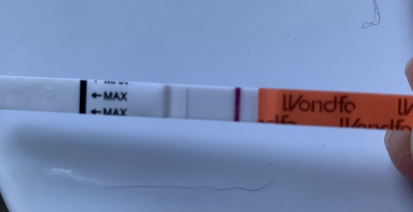 Wondfo Test Strips Pregnancy Test, 9 Days Post Ovulation, FMU