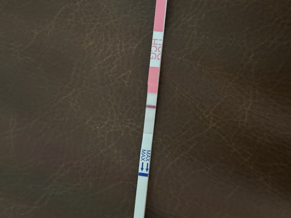 Clinical Guard Pregnancy Test, 13 Days Post Ovulation, FMU, Cycle Day 26