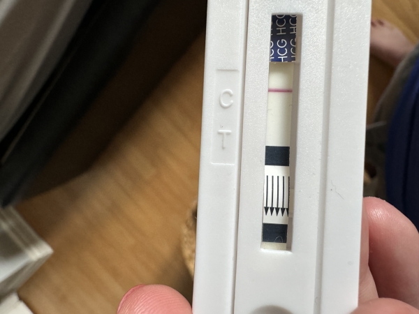 Home Pregnancy Test