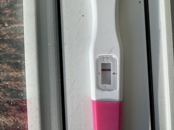 Home Pregnancy Test