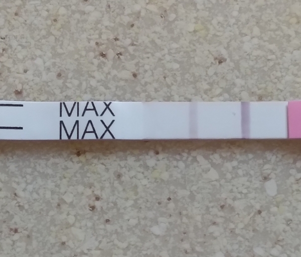 Clinical Guard Pregnancy Test, 15 Days Post Ovulation, FMU