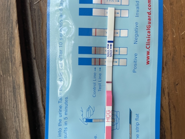 Clinical Guard Pregnancy Test