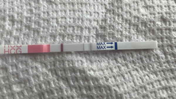 Clinical Guard Pregnancy Test, 10 Days Post Ovulation