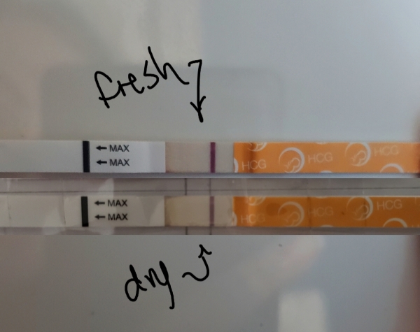 Home Pregnancy Test, 15 Days Post Ovulation, FMU, Cycle Day 34