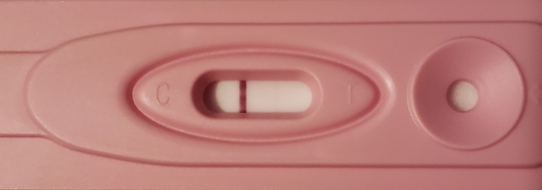 Home Pregnancy Test, 16 Days Post Ovulation, FMU, Cycle Day 35