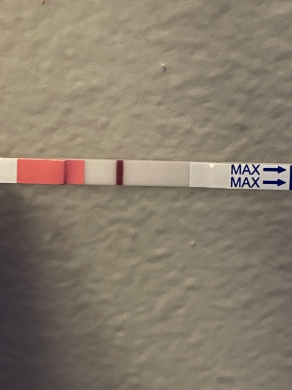 Clinical Guard Pregnancy Test, FMU