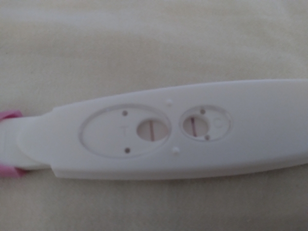 Home Pregnancy Test, 16 Days Post Ovulation, FMU