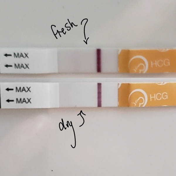 Home Pregnancy Test, 7 Days Post Ovulation, FMU, Cycle Day 23