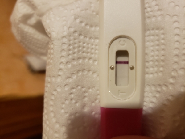 Home Pregnancy Test