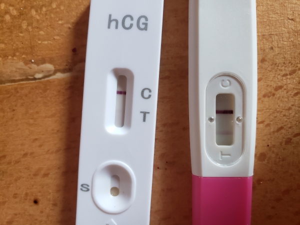 Home Pregnancy Test