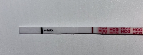 Home Pregnancy Test, 14 Days Post Ovulation