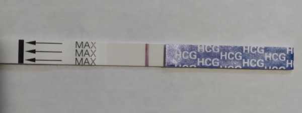 Generic Pregnancy Test, 10 Days Post Ovulation, FMU